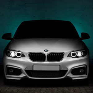 BMW Diagnostic Tool Training