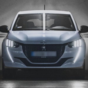 Peugeot/PSA Groupe Diagnostic Tool Training